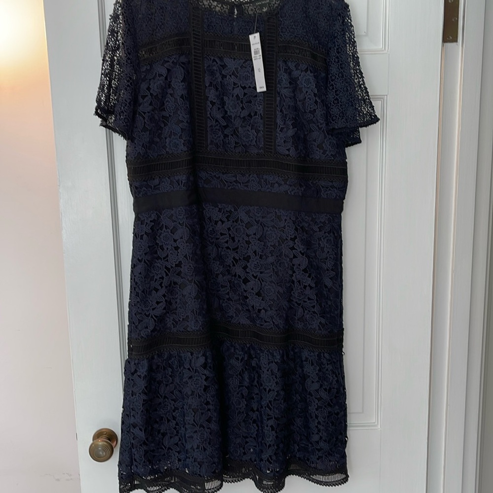 NWT Ann Taylor Deep navy and black lace dress